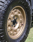 OWL Talon bronze rim aggressive tread Sprinter