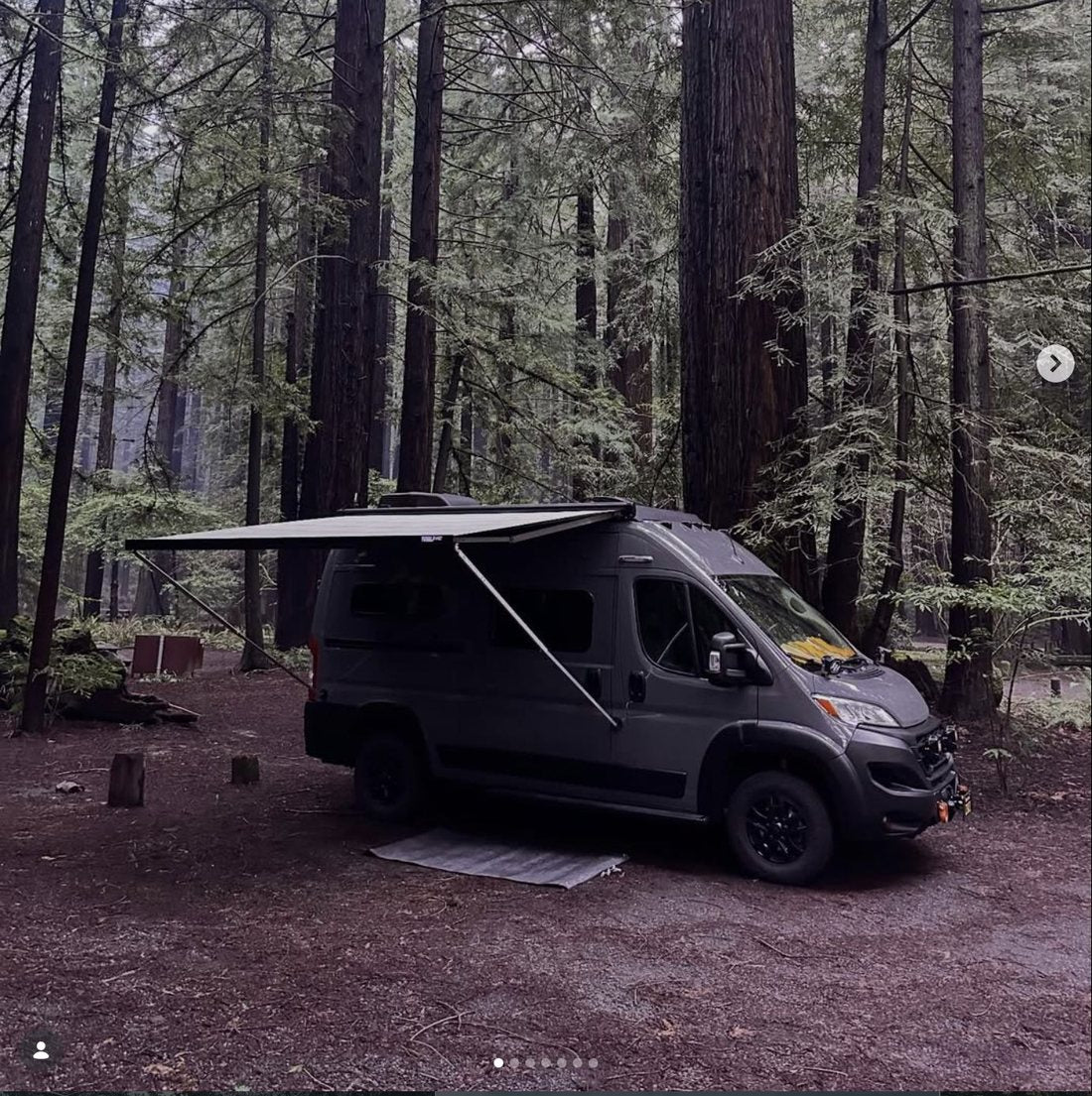 Van with awning out in a redwood forest